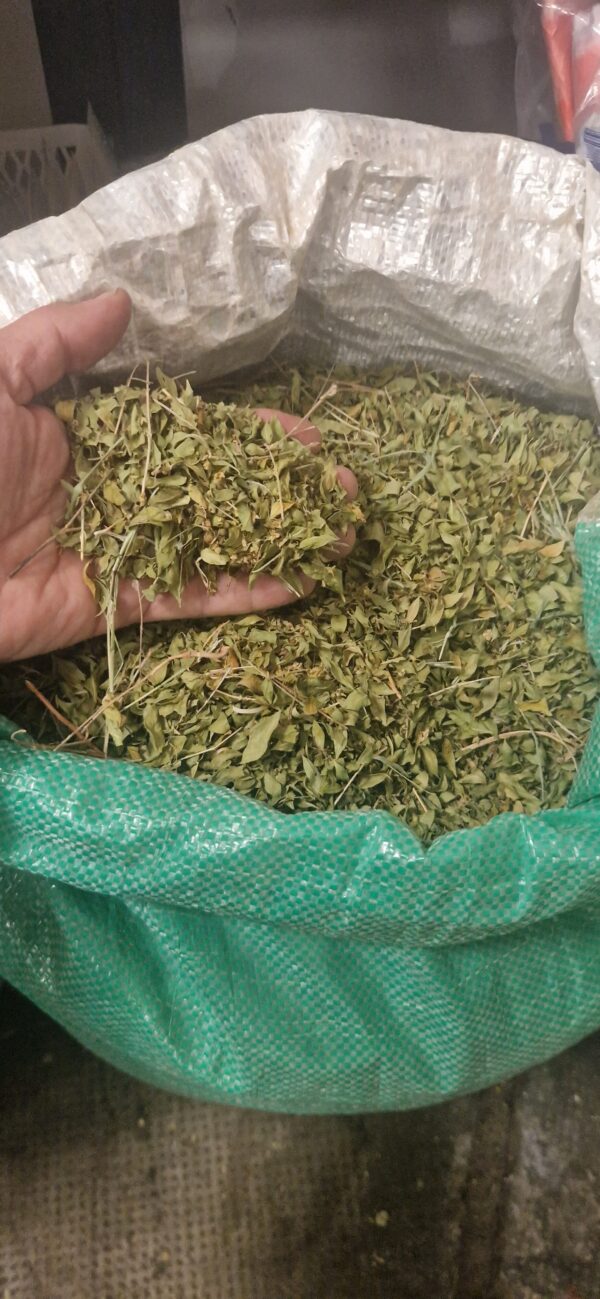 Feuille de Henna vert