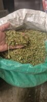 Feuille de Henna vert