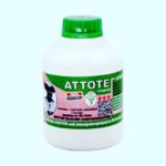Attote (jus Africain Naturel)